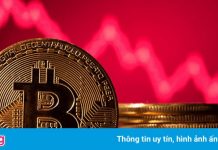 Tesla mất hết lợi nhuận từ Bitcoin nếu giá về dưới 30.000 USD