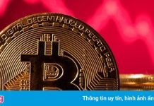 Nhà đầu tư bán tháo khi giá Bitcoin xuống dưới 30.000 USD