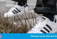 Justin Bieber, Kendall Jenner thích đi giày sneakers giá rẻ