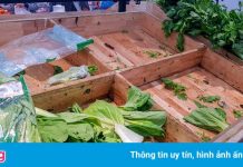 Chủ tịch Khánh Hòa: Người dân không nên đổ xô mua đồ dự trữ