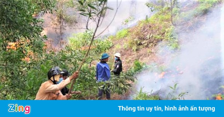 Thi thể người đàn ông trong vườn keo