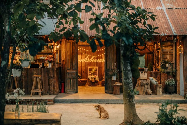 Đà Lạt quá chill: “Đổi cảnh” ở hai tiệm cà phê có view thiên nhiên đẹp đến nao lòng