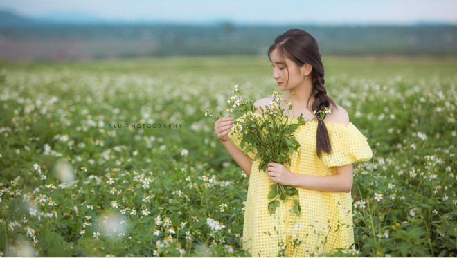 Khám phá Tây Nguyên: Ngất ngây với “cánh đồng tuyết” mộng mơ giữa lòng phố núi - 5