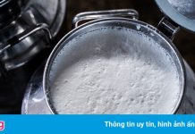 Nông dân Sóc Trăng gặp khó khi tiêu thụ sữa bò