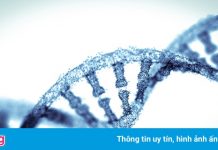 Phát hiện phương pháp mới để điều trị Covid-19