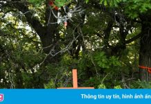 Canada phát hiện thêm 182 ngôi mộ tại trường học của người bản địa