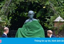 Hai hoàng tử Anh hội ngộ hiếm hoi vì bức tượng của mẹ