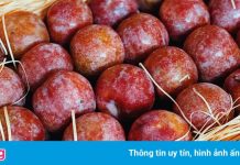 Mận ruby Sơn La 230.000 đồng/kg có gì đặc biệt?