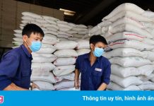 Chủ tịch EuroCham: ‘Cần đảm bảo sinh kế cho người lao động trong dịch’