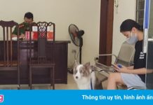 Dắt chó đi dạo, cô gái bị phạt 2 triệu đồng