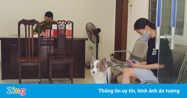 Dắt chó đi dạo, cô gái bị phạt 2 triệu đồng Dắt chó đi dạo, cô gái bị phạt 2 triệu đồng