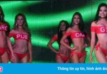 Gần nửa thí sinh cuộc thi Hoa hậu Mexico mắc Covid-19