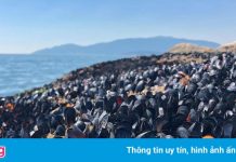 Vẹm bị nắng nướng chín lọt top ảnh thiên nhiên