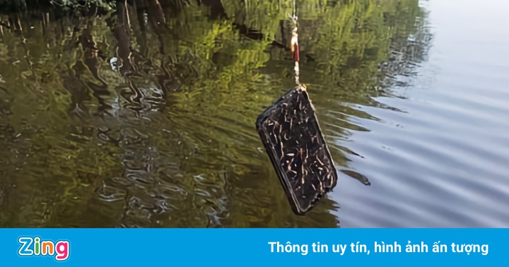 Người đàn ông câu được chiếc iPhone Người đàn ông câu được chiếc iPhone