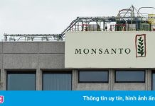 Ba giáo viên Mỹ được bồi thường 185 triệu USD sau vụ kiện Monsanto