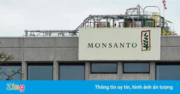 Ba giáo viên Mỹ được bồi thường 185 triệu USD sau vụ kiện Monsanto