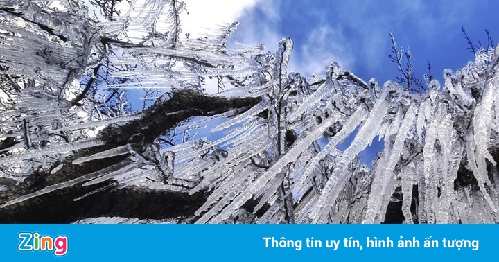 Tuyết rơi bất thường tại Brazil sau hơn nửa thế kỷ Tuyết rơi bất thường tại Brazil sau hơn nửa thế kỷ