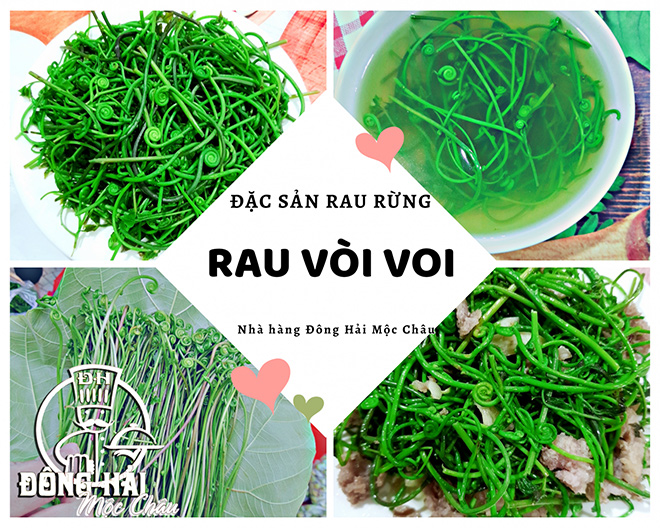 Du lịch Mộc Châu mùa hè – Vừa trốn nóng, vừa trốn dịch - 8