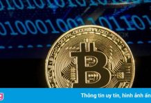 Cá voi thức giấc, nửa triệu Bitcoin được giao dịch trong 24h