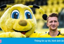 Dortmund khuấy động mùa hè bằng chuỗi sự kiện tham quan ảo