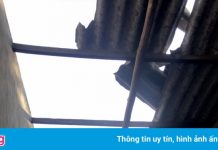 Lốc xoáy làm tốc mái 130 ngôi nhà ở vùng phong tỏa