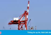 Gia đình tài xế mắc Covid-19, Cảng Quy Nhơn bị phong tỏa tạm thời