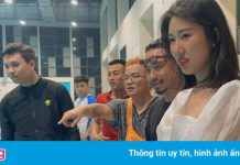 Cuộc đấu của ca sĩ Việt