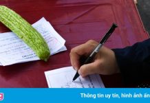 Bí thư Hà Nội yêu cầu áp dụng phiếu đi chợ toàn thành phố