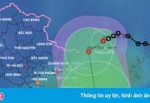 Quảng Ninh dừng cấp phép tàu ra biển