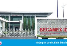 Vốn hóa của đại gia khu công nghiệp Bình Dương mất 9.500 tỷ đồng