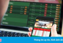 Quảng Trị phá đường dây đánh bạc hàng trăm tỷ