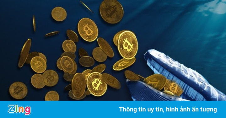 Cá voi Bitcoin thức giấc