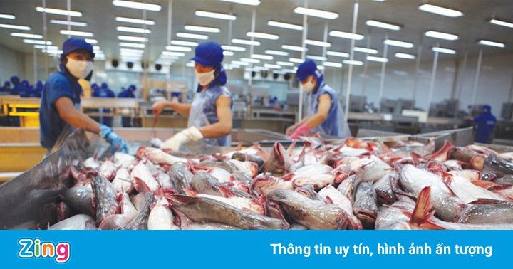Doanh nghiệp ở Tiền Giang kêu cứu vì bị ngừng sản xuất đột ngột Doanh nghiệp ở Tiền Giang kêu cứu vì bị ngừng sản xuất đột ngột