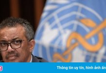 WHO kêu gọi tất cả quốc gia cùng tìm nguồn gốc Covid-19