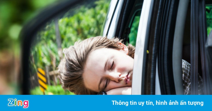 Những phương pháp tránh say xe khi đi du lịch