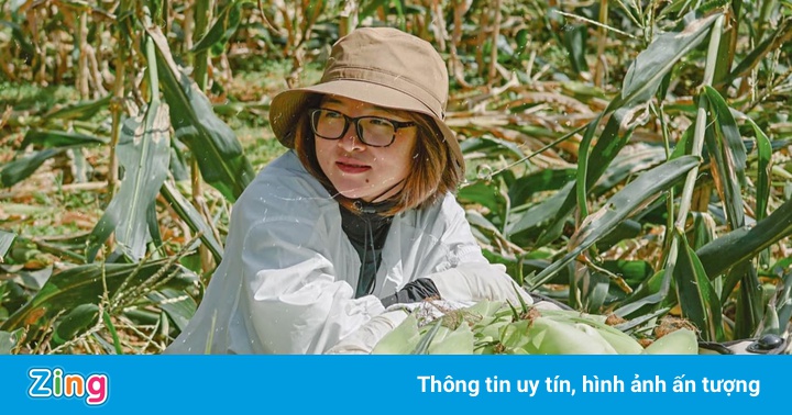 Người Đà Lạt gom rau sạch, gửi tặng người dân TP.HCM Người Đà Lạt gom rau sạch, gửi tặng người dân TP.HCM