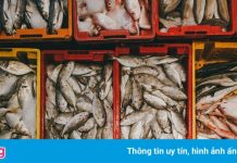 Hàng thủy sản về TP.HCM giảm 53% sau khi chợ Bình Điền đóng cửa