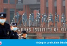 WHO kêu gọi điều tra các phòng thí nghiệm ở Vũ Hán