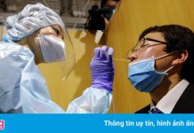 Nhật Bản tìm ra thuốc thử mới phát hiện biến chủng Delta