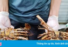 Cua, tôm và rau ở miền Tây tiếp tục rớt giá