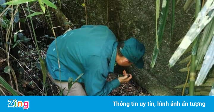 Tìm thấy thi thể thanh niên lạc gia đình khi đi chơi suối