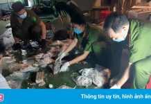 Tội phạm sử dụng Bitcoin để buôn ma túy xuyên lục địa