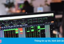 Ủy ban Chứng khoán nói gì về lỗi cục bộ ở một số công ty chứng khoán?