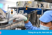 Phó thủ tướng: Sản xuất giờ ví như thời chiến