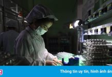 Nhiều ngành nghề sẽ giảm tuyển dụng lao động cuối năm