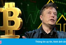 Elon Musk lại thổi giá Bitcoin
