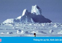 Liên Hợp Quốc xác nhận nhiệt độ cao kỷ lục ở Nam Cực