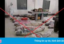 Tăng cường xử lý tin giả, sai sự thật về dịch Covid-19