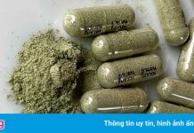 Thái Lan đẩy mạnh sản xuất xuyên tâm liên để điều trị Covid-19