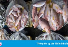 Chợ ở miền Tây vắng hoe